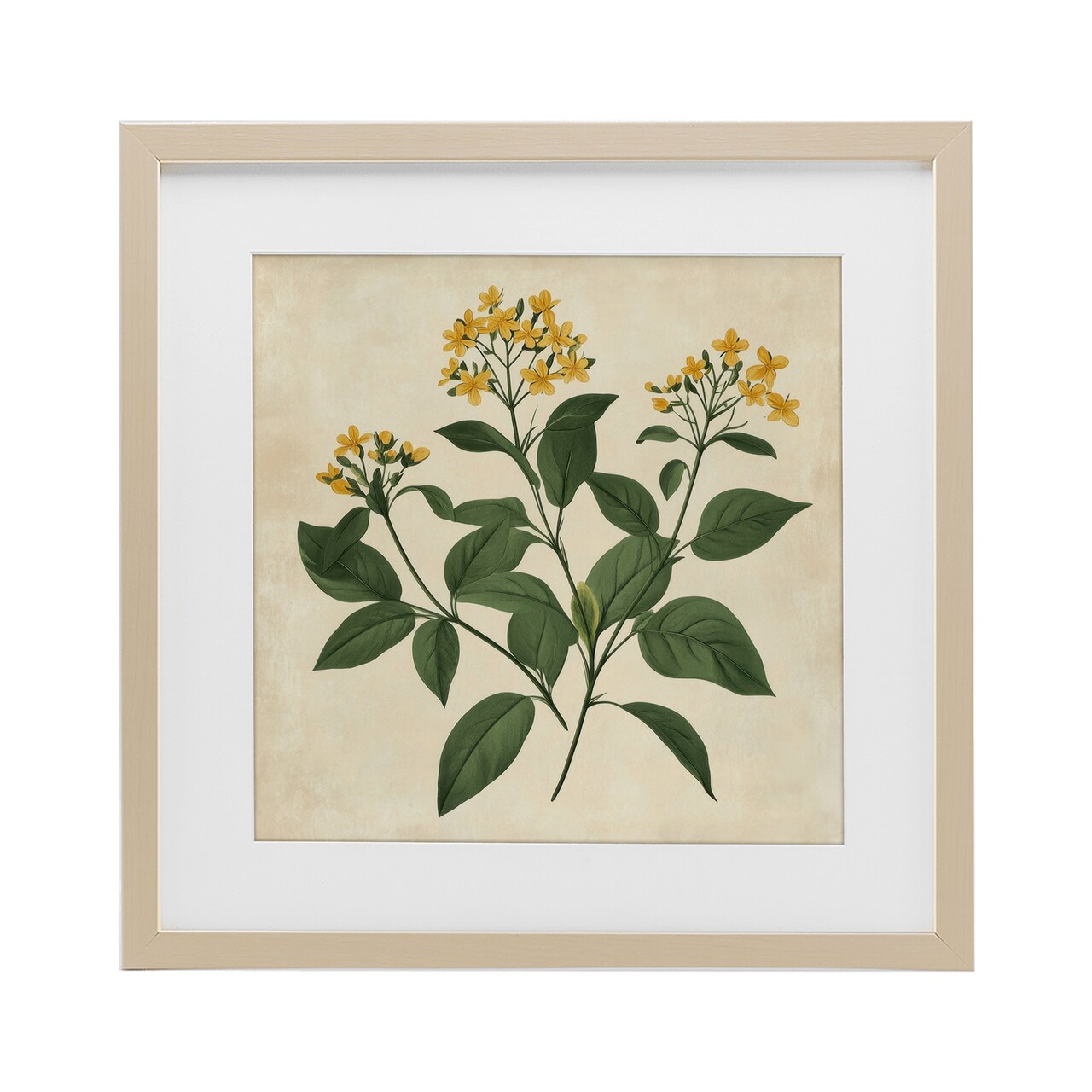 Stupell Industries Yellow Bushels Botanical Illustration Framed Print Under Glass, design by Petal Prints Design